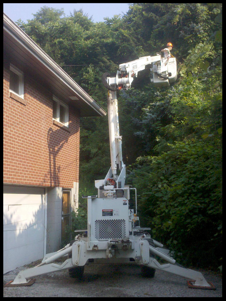 IBEW Local Union 1919